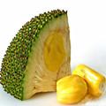 菠蘿蜜 菠蘿蜜
