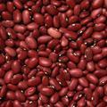 紅豆 紅豆