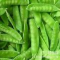 荷蘭豆 荷蘭豆