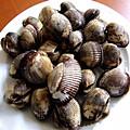 毛蛤蜊 毛蛤蜊