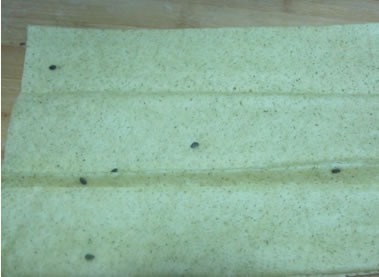 �ը�������D�Ĳ��E