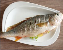 �����S�~�������D�Ĳ��E