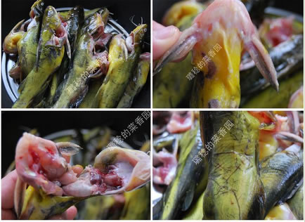 �������u���S�����������D�Ĳ��E