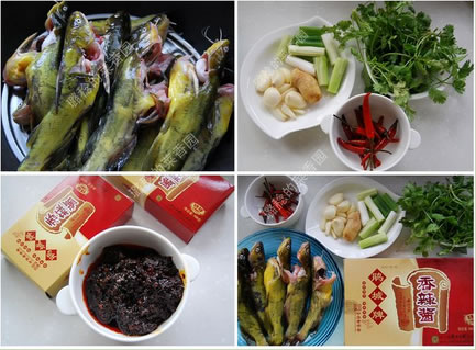 �������u���S�����������D�Ĳ��E