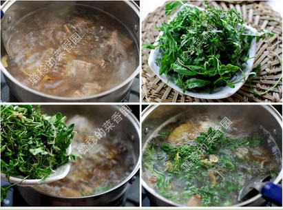 �j���Źǜ��������D�Ĳ��E