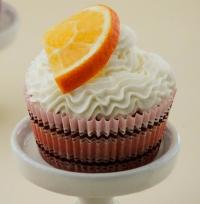 ��������ӵ��������