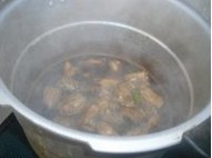 �t���Źǵ������D�Ĳ��E