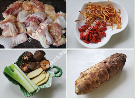 Ӽ�x�����^���u�������D�Ĳ��E