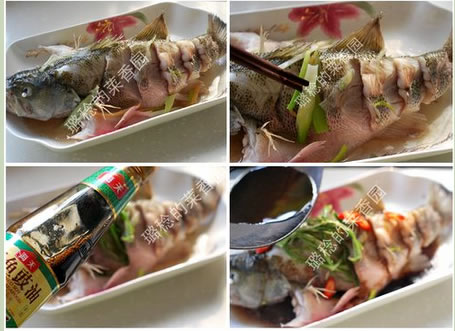 �����|�~�������D�Ĳ��E