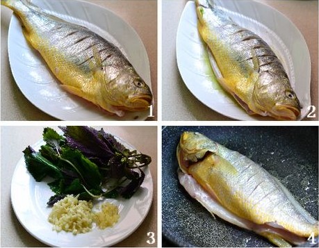 �t�\�S���~�������D�Ĳ��E