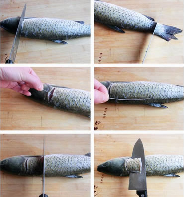 �Ǵ״�Ƥ�~(y��)�������D�Ĳ��E