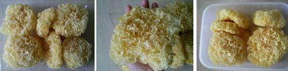 �y��ѩ����������D�Ĳ��E