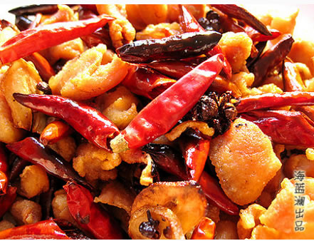 ���������u�������D�Ĳ��E