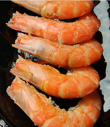 ���}�h�r������