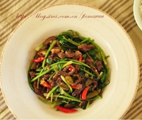 Ұɽ����ţ�������