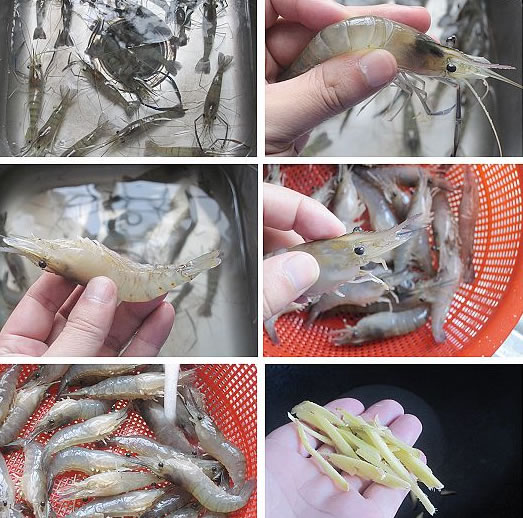 ���ϰ��͠F�r�������D�Ĳ��E