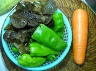 �i�⳴���z�������D�Ĳ��E