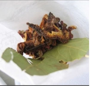 �t��ţ�✫�������D�Ĳ��E