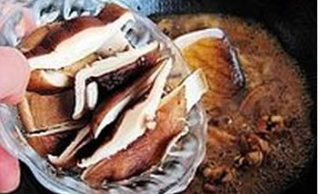 �t���u��������D�Ĳ��E