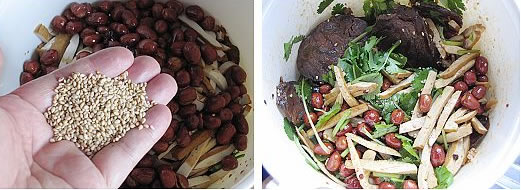 ��������ţ��������D�Ĳ��E