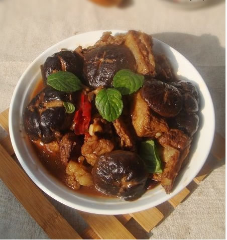 �ŹǠF�㹽�������D�Ĳ��E