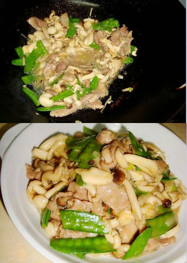 Ģ������Ƭ�������D�Ĳ��E