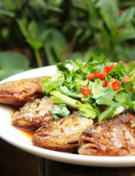 ���С�S�~������