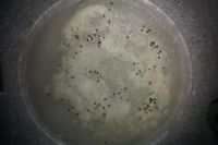 ΢���t������֥�鵰���������D�Ĳ��E