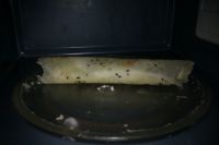 ΢���t������֥�鵰���������D�Ĳ��E