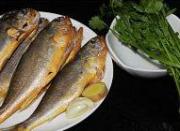 ���С�S�~�������D�Ĳ��E