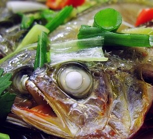 ȹ����-�����罷�S���~(y��)������