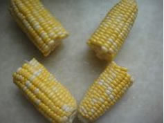 ���׵������������D�Ĳ��E