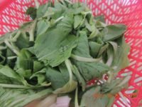 �Ͷ�������˵������D�Ĳ��E