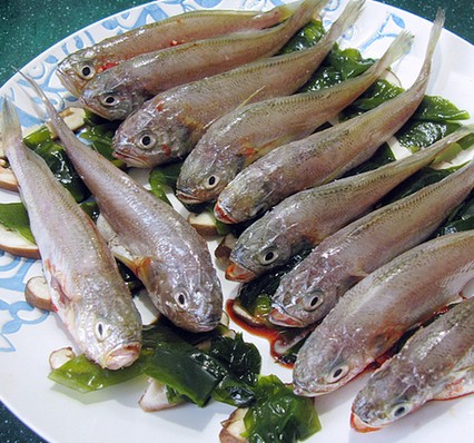 �����罷�S���~(y��)�������D�Ĳ��E