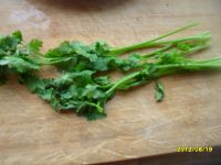 �����ĩ��������D�Ĳ��E