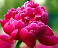 ��ˎ���������