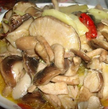 �ҳ��⳴�㹽������