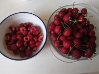 �������D�Ĳ��E