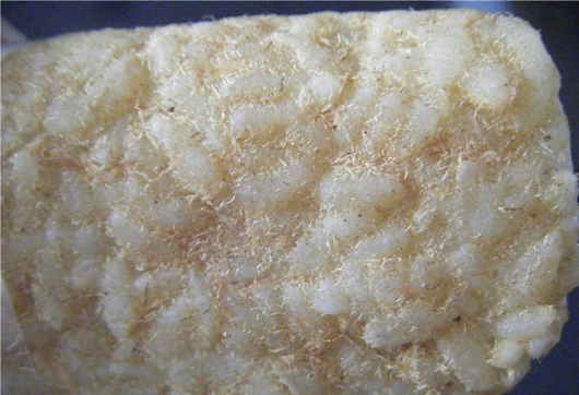 �S�Ϳ��z�^Ƭ������(ji��)��Ͳ��V���������D�Ĳ��E