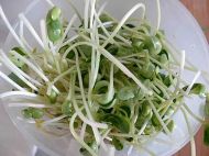 �_���׾��������D�Ĳ��E