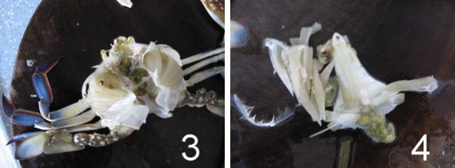 �S������з�������D�Ĳ��E