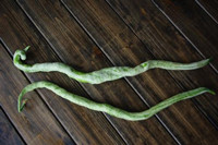 �峴�������������D�Ĳ��E