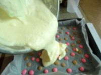 �pɫ���c(di��n)������������D�Ĳ��E