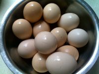 �_(t��i)���u���������D�Ĳ��E