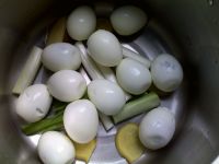 �_(t��i)���u���������D�Ĳ��E