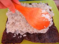 �ձ���˾�������D�Ĳ��E