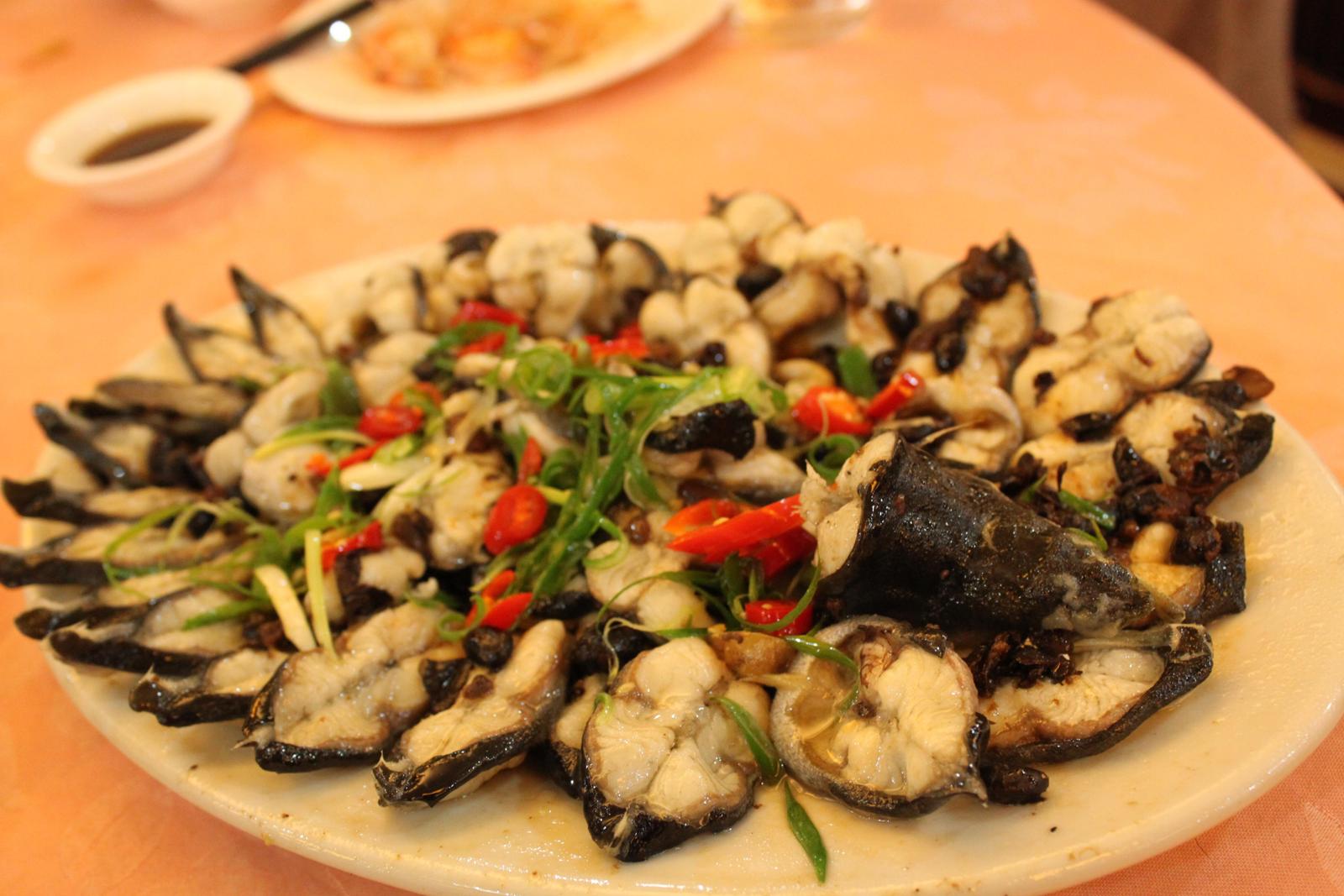 ���������ɵ������D�Ĳ��E