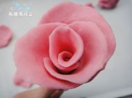 õ���ɿ��������������D�Ĳ��E