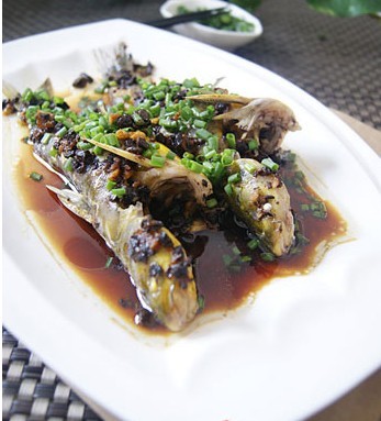 �����F�S���~������