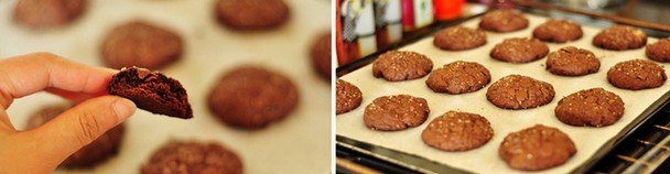 �ɿ���ɵ������D�Ĳ��E